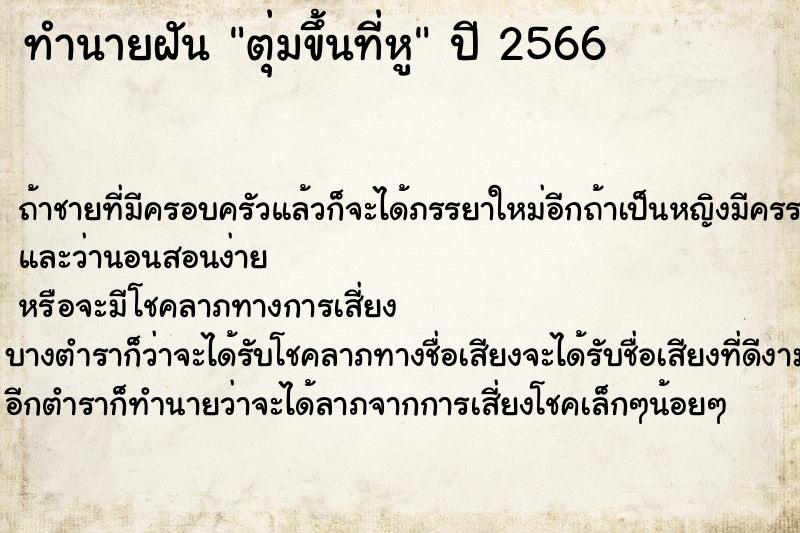 ทำนายฝัน ตุ่มขึ้นที่หู ทำนายฝัน ตุ่มขึ้นที่หู