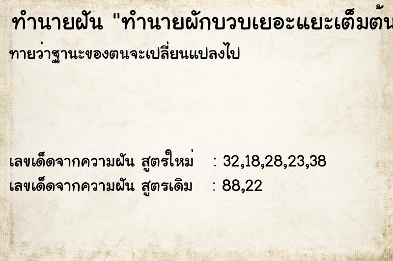ทำนายฝันทำนายผักบวบเยอะแยะเต็มต้น ทำนายฝันทำนายฝันทำนายผักบวบเยอะแยะเต็มต้น
