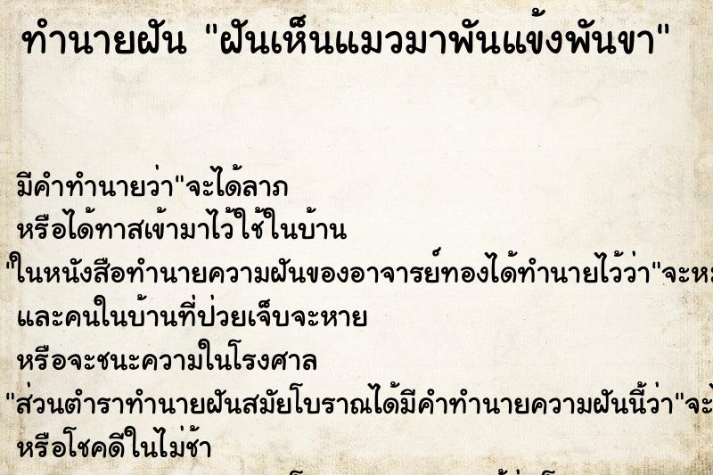 ทำนายฝันฝันเห็นแมวมาพันแข้งพันขา ทำนายฝันทำนายฝันฝันเห็นแมวมาพันแข้งพันขา