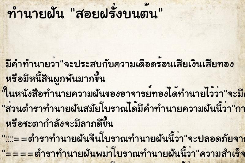 ทำนายฝัน สอยฝรั่งบนต้น ตำราโบราณ แม่นที่สุดในโลก