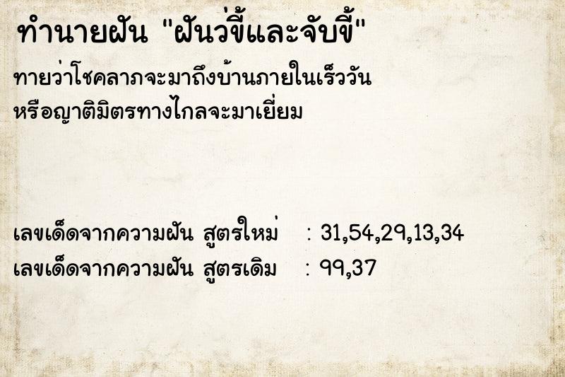 ทำนายฝันฝันว่ขี้และจับขี้ ทำนายฝันทำนายฝันฝันว่ขี้และจับขี้