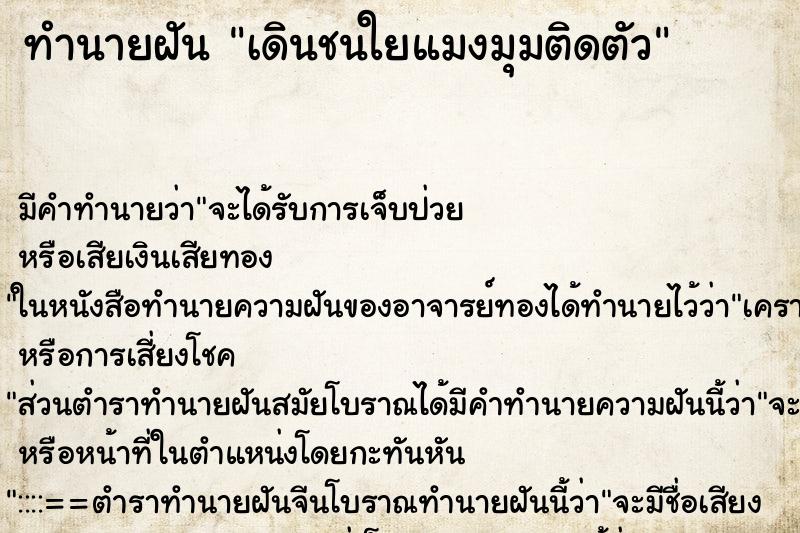 ทำนายฝัน เดินชนใยแมงมุมติดตัว ทำนายฝัน เดินชนใยแมงมุมติดตัว