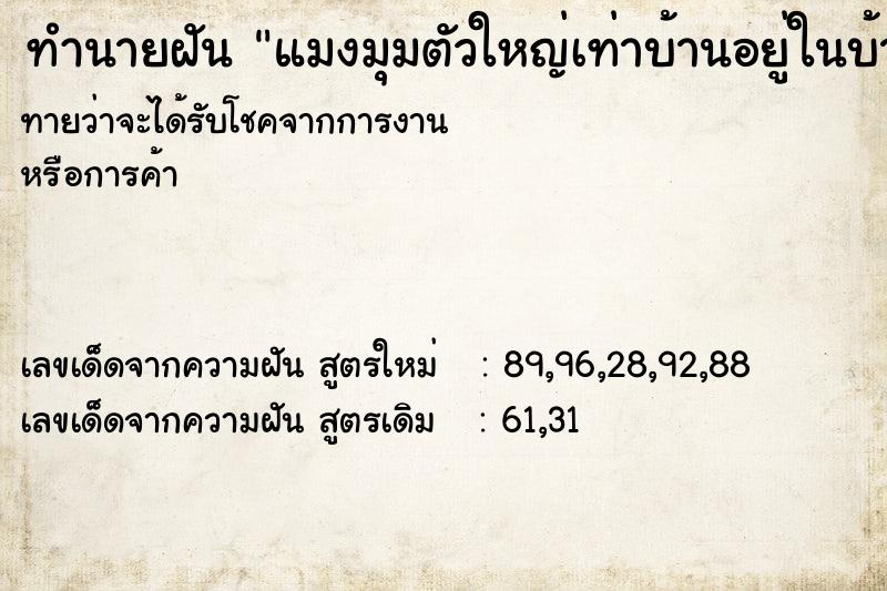 ทำนายฝันทำนายฝันแมงมุมตัวใหญ่เท่าบ้านอยู่ในบ้าน