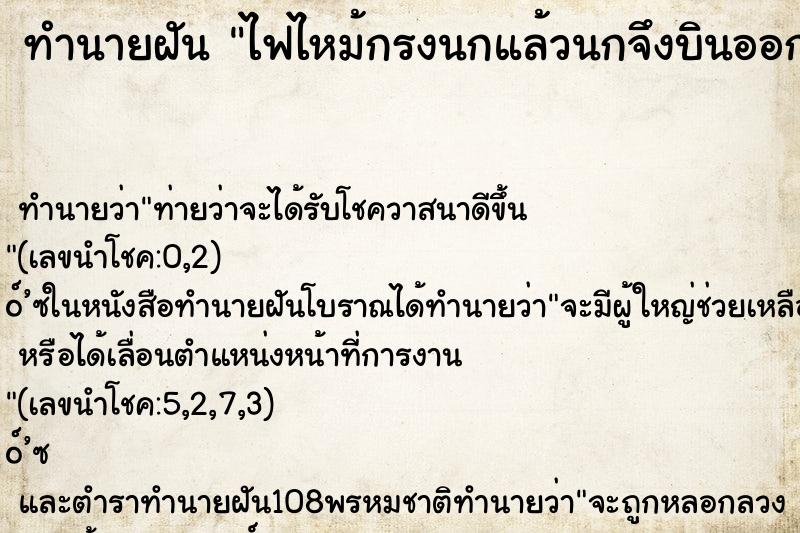ทำนายฝันทำนายฝันไฟไหม้กรงนกแล้วนกจึงบินออก