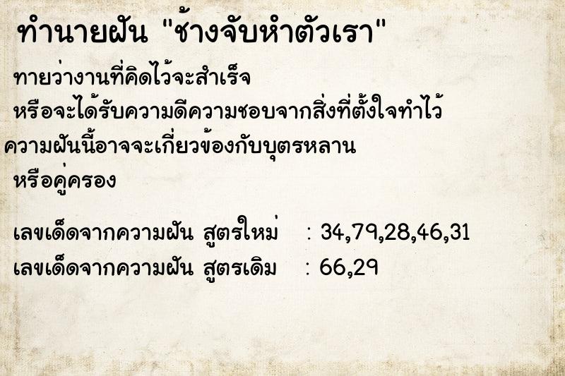 ทำนายฝันช้างจับหำตัวเรา ทำนายฝันทำนายฝันช้างจับหำตัวเรา