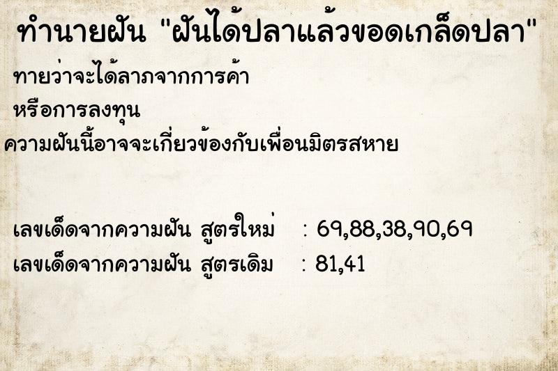 ทำนายฝันฝันได้ปลาแล้วขอดเกล็ดปลา ทำนายฝันทำนายฝันฝันได้ปลาแล้วขอดเกล็ดปลา