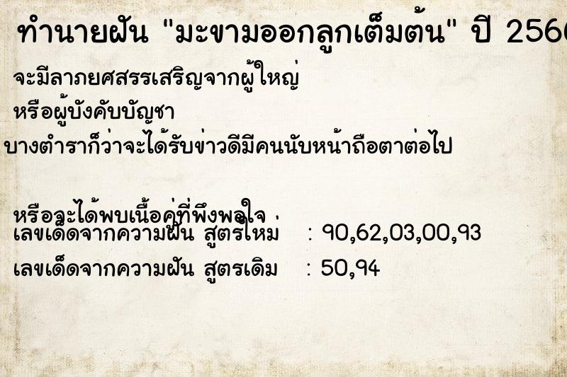 ทำนายฝัน มะขามออกลูกเต็มต้น ทำนายฝัน มะขามออกลูกเต็มต้น