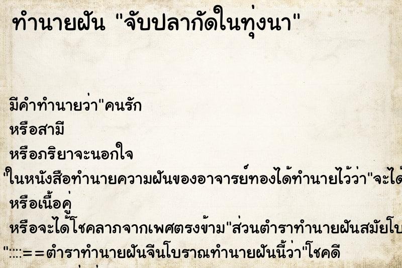 ทำนายฝันจับปลากัดในทุ่งนา ทำนายฝันทำนายฝันจับปลากัดในทุ่งนา