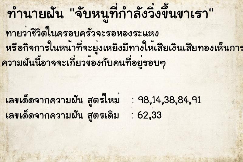 ทำนายฝันทำนายฝันจับหนูที่กำลังวิ่งขึ้นขาเรา
