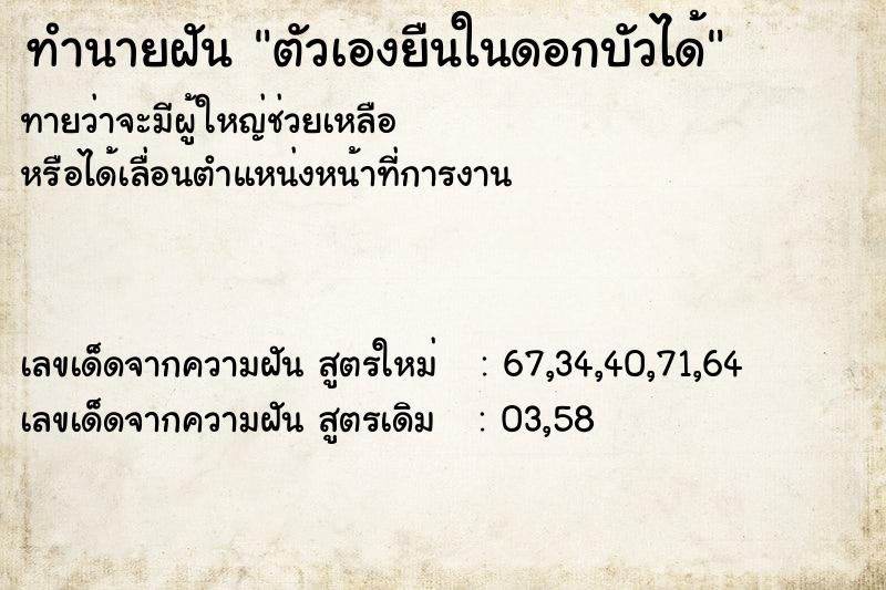 ทำนายฝันตัวเองยืนในดอกบัวได้ ทำนายฝันทำนายฝันตัวเองยืนในดอกบัวได้