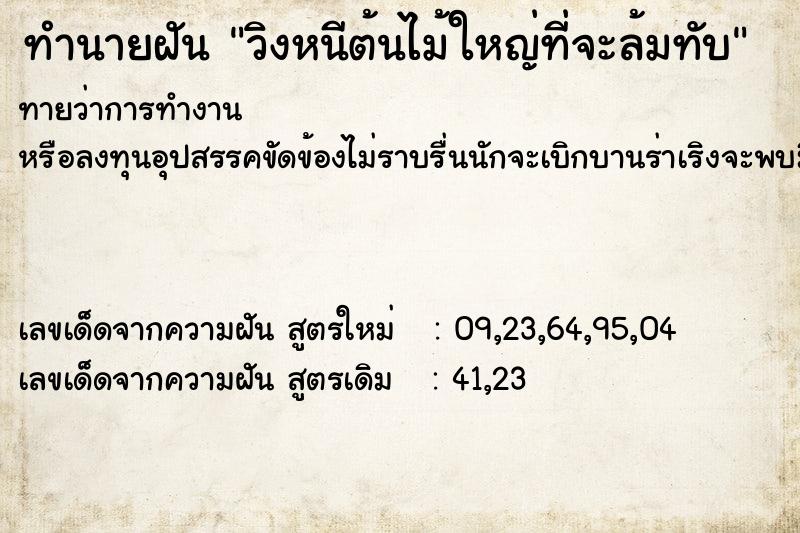 ทำนายฝันวิงหนีต้นไม้ใหญ่ที่จะล้มทับ ทำนายฝันทำนายฝันวิงหนีต้นไม้ใหญ่ที่จะล้มทับ