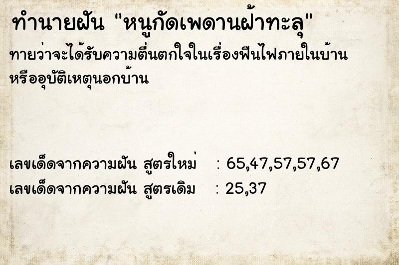 ทำนายฝัน หนูกัดเพดานฝ้าทะลุ