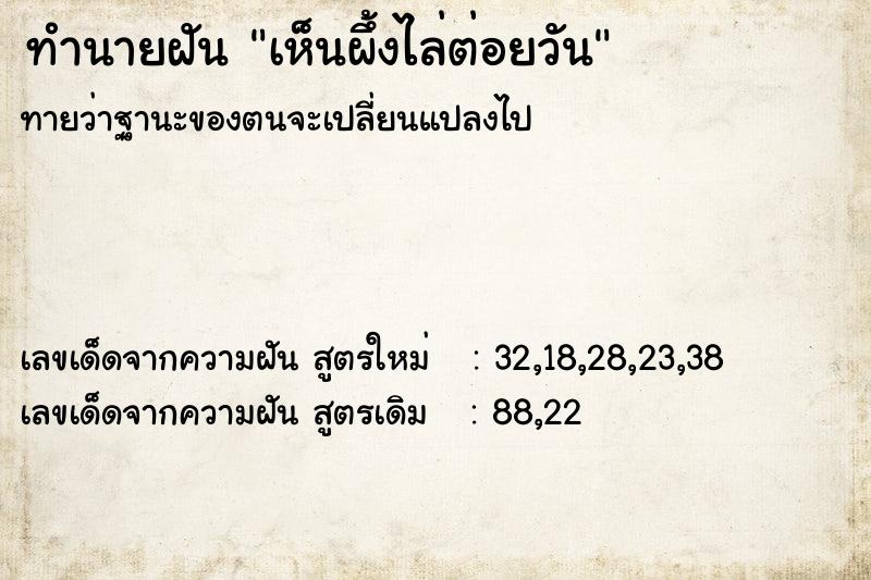 ทำนายฝันเห็นผึ้งไล่ต่อยวัน ทำนายฝันทำนายฝันเห็นผึ้งไล่ต่อยวัน