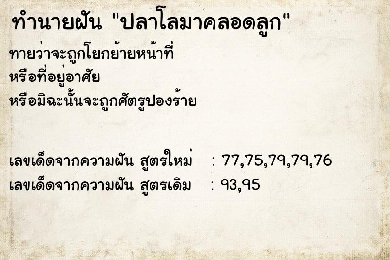 ทำนายฝันปลาโลมาคลอดลูก ทำนายฝันทำนายฝันปลาโลมาคลอดลูก