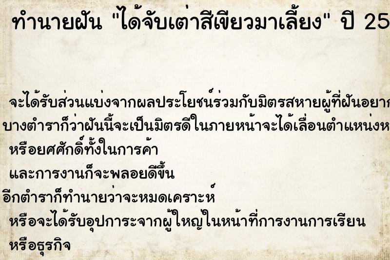 ทำนายฝัน ได้จับเต่าสีเขียวมาเลี้ยง
