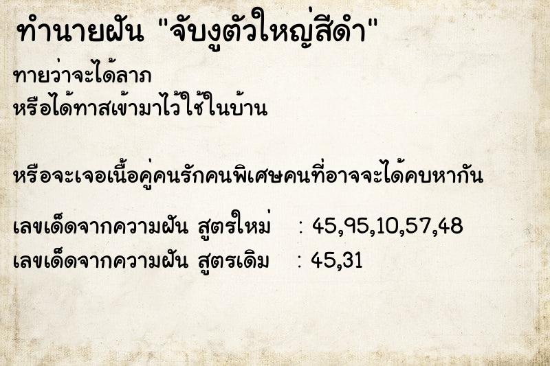 ทำนายฝัน จับงูตัวใหญ่สีดำ ทำนายฝัน จับงูตัวใหญ่สีดำ