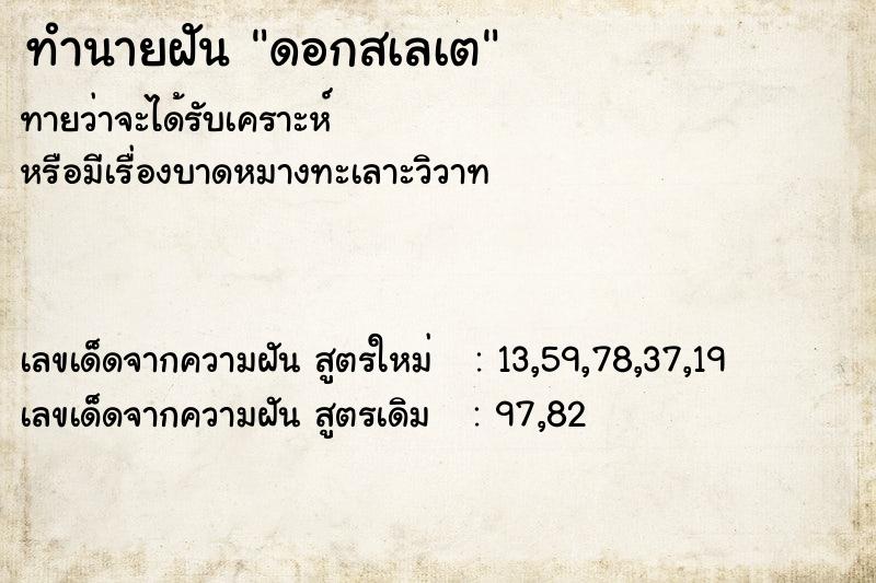 ทำนายฝันดอกสเลเต ทำนายฝันทำนายฝันดอกสเลเต