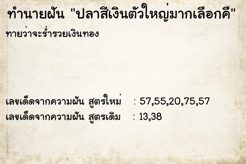 ทำนายฝันปลาสีเงินตัวใหญ่มากเลือกคื ทำนายฝันทำนายฝันปลาสีเงินตัวใหญ่มากเลือกคื