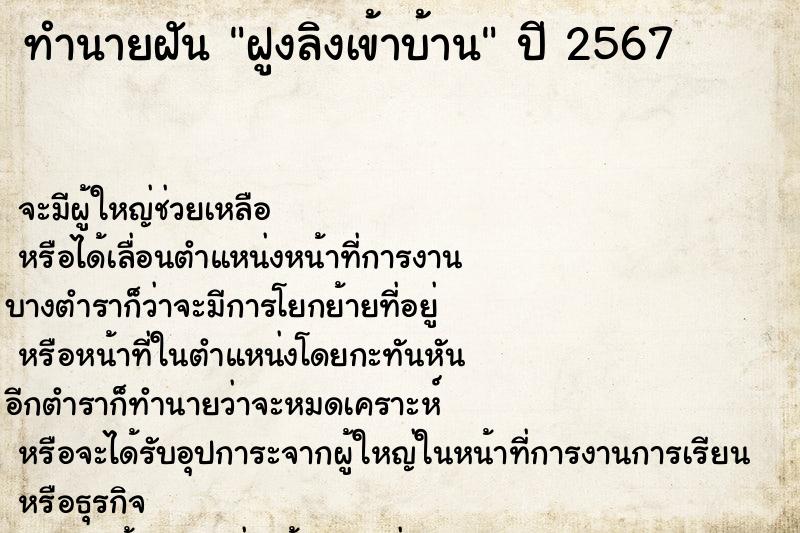 ทำนายฝัน ฝูงลิงเข้าบ้าน ทำนายฝัน ฝูงลิงเข้าบ้าน