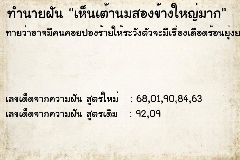ทำนายฝันเห็นเต้านมสองข้างใหญ่มาก ทำนายฝันทำนายฝันเห็นเต้านมสองข้างใหญ่มาก
