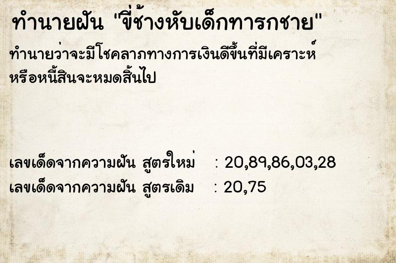 ทำนายฝันขี่ช้างหับเด็กทารกชาย ทำนายฝันทำนายฝันขี่ช้างหับเด็กทารกชาย