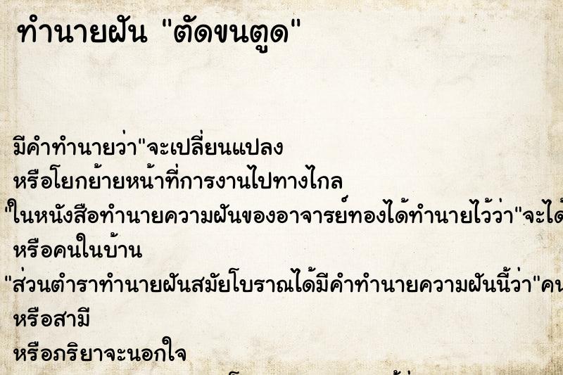 ทำนายฝัน ตัดขนตูด ทำนายฝัน ตัดขนตูด