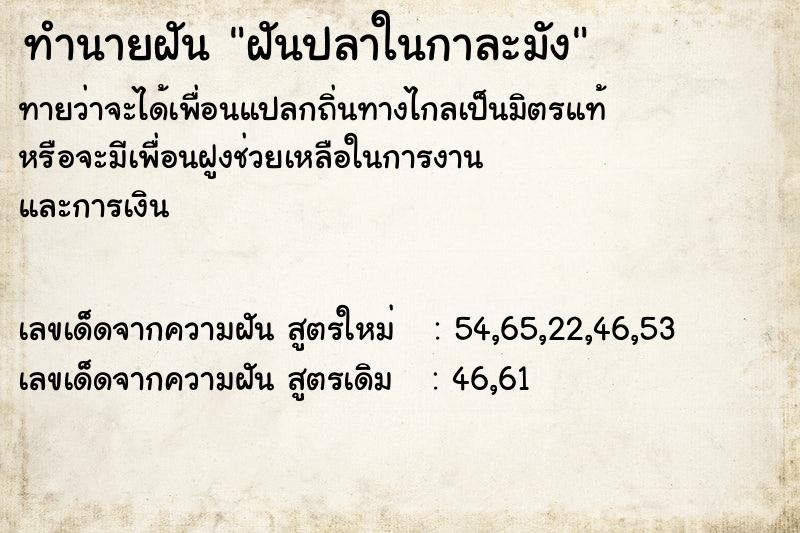 ทำนายฝันฝันปลาในกาละมัง ทำนายฝันทำนายฝันฝันปลาในกาละมัง