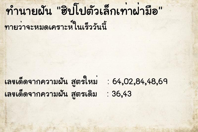 ทำนายฝันทำนายฝันฮิปโปตัวเล็กเท่าฝ่ามือ