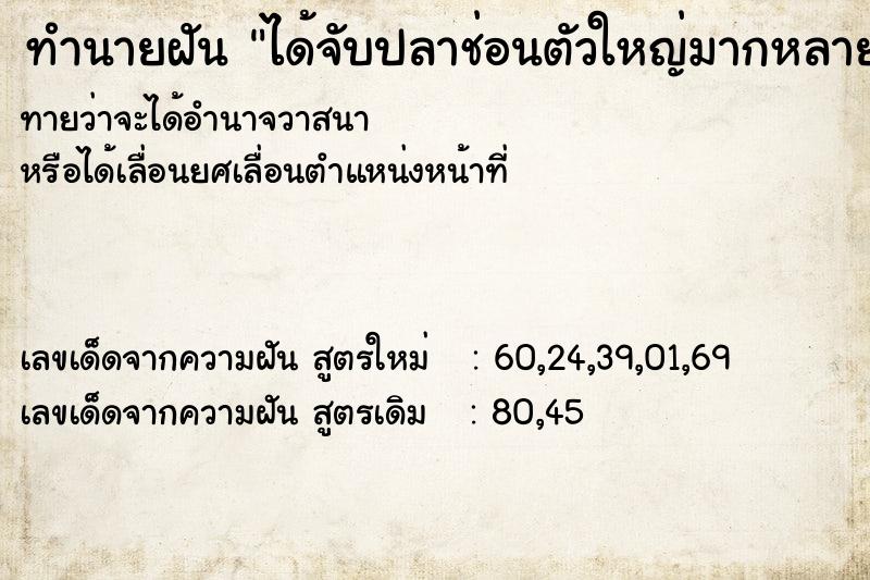 ทำนายฝันได้จับปลาช่อนตัวใหญ่มากหลายตัว ทำนายฝันทำนายฝันได้จับปลาช่อนตัวใหญ่มากหลายตัว
