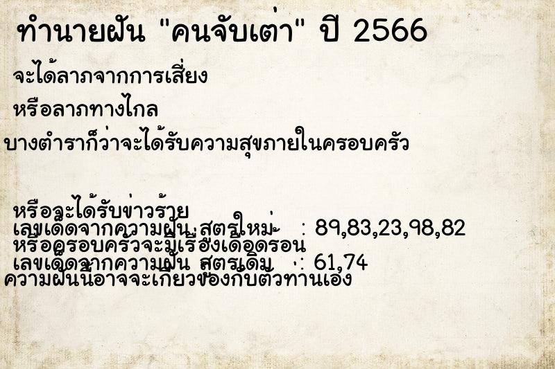 ทำนายฝันทำนายฝันคนจับเต่า