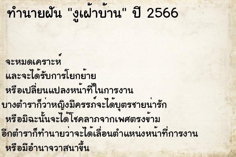 ทำนายฝันงูเฝ้าบ้าน ทำนายฝันทำนายฝันงูเฝ้าบ้าน
