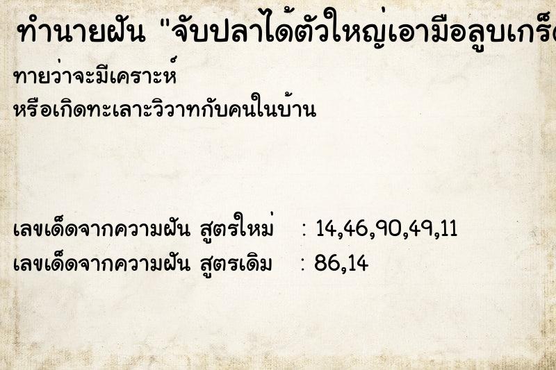 ทำนายฝันทำนายฝันจับปลาได้ตัวใหญ่เอามือลูบเกร็ดปลา