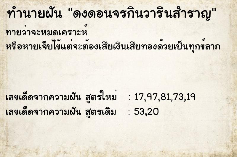 ทำนายฝันดงดอนจรกินวารินสำราญ ทำนายฝันทำนายฝันดงดอนจรกินวารินสำราญ
