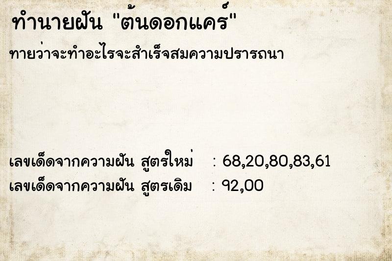 ทำนายฝันต้นดอกแคร์ ทำนายฝันทำนายฝันต้นดอกแคร์