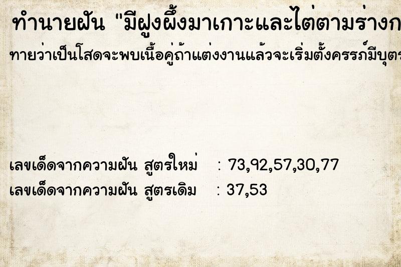 ทำนายฝันมีฝูงผึ้งมาเกาะและไต่ตามร่างกาย ทำนายฝันทำนายฝันมีฝูงผึ้งมาเกาะและไต่ตามร่างกาย