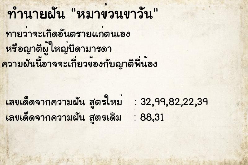 ทำนายฝันหมาข่วนขาวัน ทำนายฝันทำนายฝันหมาข่วนขาวัน