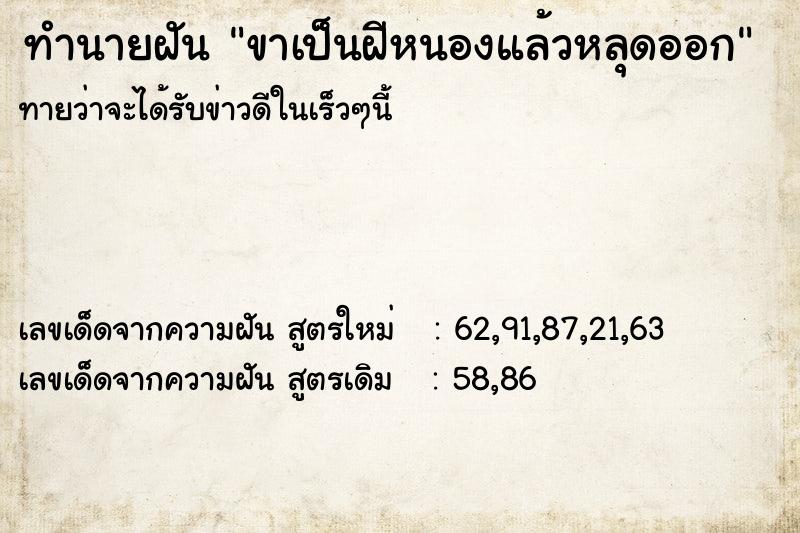 ทำนายฝัน ขาเป็นฝีหนองแล้วหลุดออก ทำนายฝัน ขาเป็นฝีหนองแล้วหลุดออก