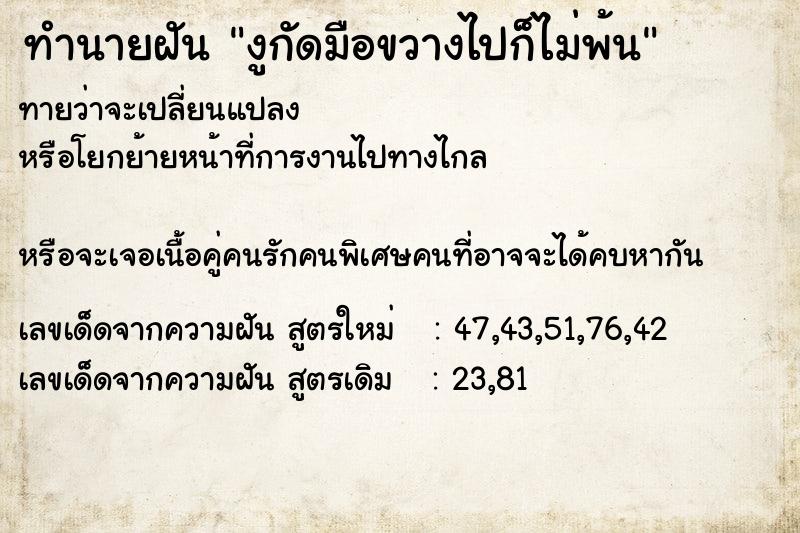 ทำนายฝันทำนายฝันงูกัดมือขวางไปก็ไม่พ้น