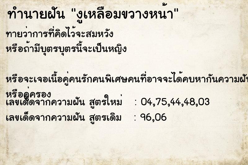 ทำนายฝันงูเหลือมขวางหน้า ทำนายฝันทำนายฝันงูเหลือมขวางหน้า