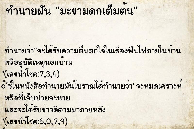 ทำนายฝัน มะขามดกเต็มต้น ทำนายฝัน มะขามดกเต็มต้น