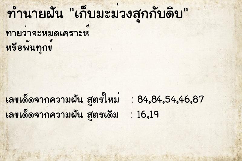 ทำนายฝันเก็บมะม่วงสุกกับดิบ ทำนายฝันทำนายฝันเก็บมะม่วงสุกกับดิบ