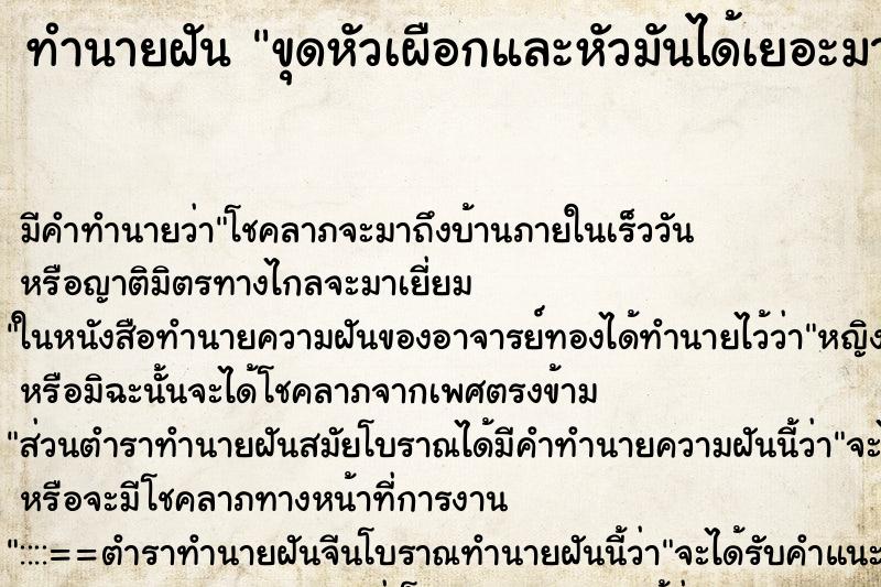 ทำนายฝัน ขุดหัวเผือกและหัวมันได้เยอะมาก ทำนายฝัน ขุดหัวเผือกและหัวมันได้เยอะมาก