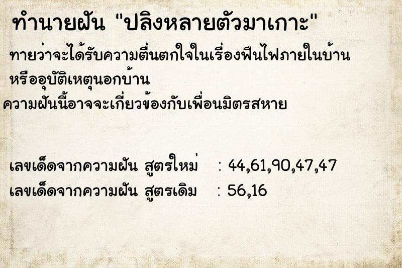 ทำนายฝันปลิงหลายตัวมาเกาะ ทำนายฝันทำนายฝันปลิงหลายตัวมาเกาะ