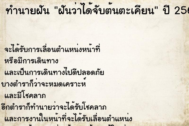 ทำนายฝันทำนายฝันฝันว่าได้จับต้นตะเคียน
