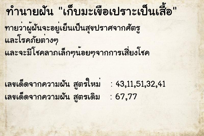 ทำนายฝันทำนายฝันเก็บมะเขือเปราะเป็นเสื้อ