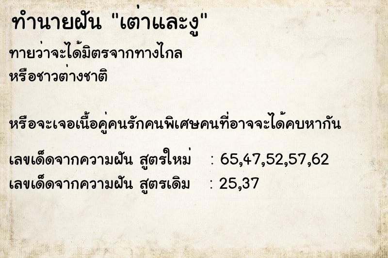 ทำนายฝันเต่าและงู ทำนายฝันทำนายฝันเต่าและงู