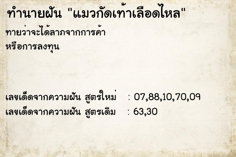 ทำนายฝันทำนายฝันแมวกัดเท้าเลือดไหล