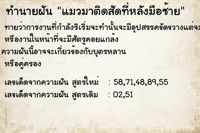 ทำนายฝันแมวมาติดสัดที่หลังมือซ้าย ทำนายฝันทำนายฝันแมวมาติดสัดที่หลังมือซ้าย