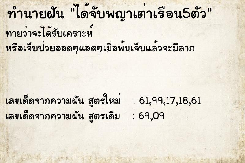 ทำนายฝันทำนายฝันได้จับพญาเต่าเรือน5ตัว