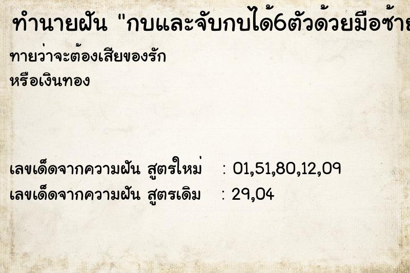 ทำนายฝันทำนายฝันกบและจับกบได้6ตัวด้วยมือซ้าย-ขวา